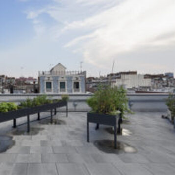 Hort urbà